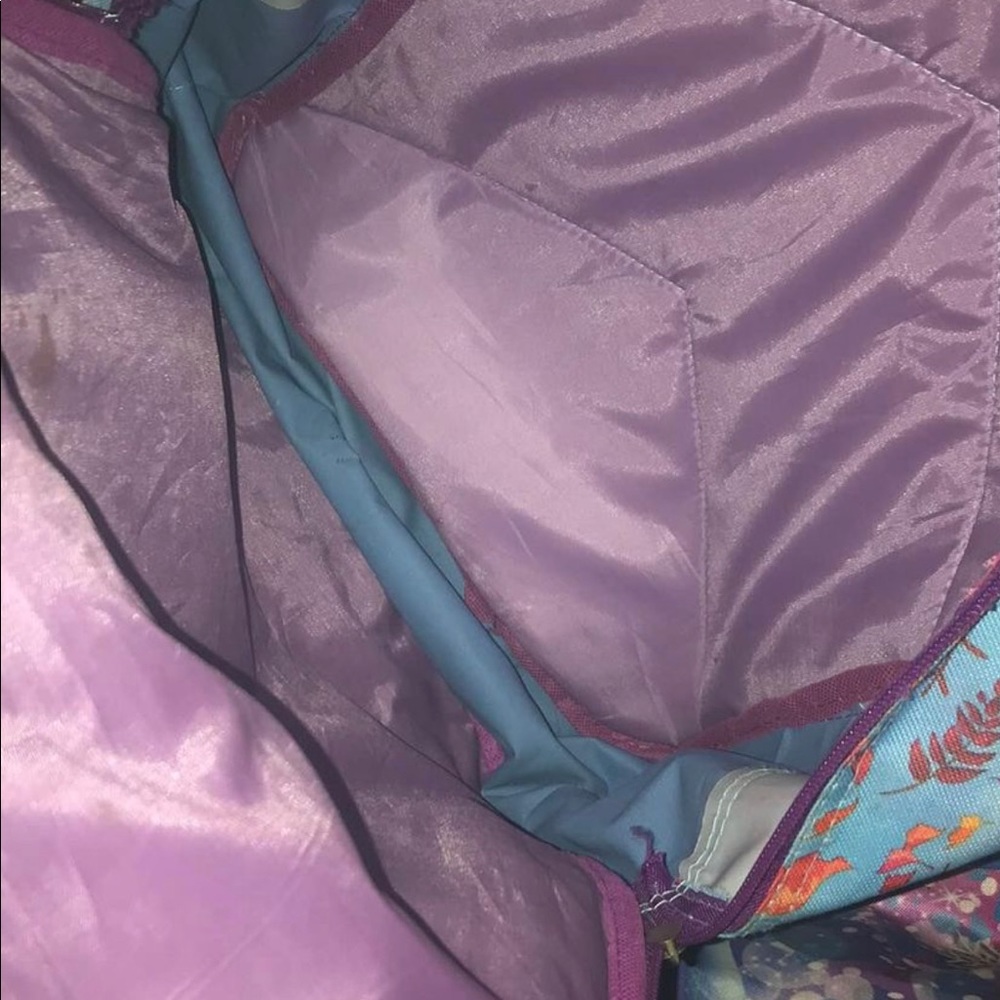 2 for $10 frozen book bags - Picture 2 of 2